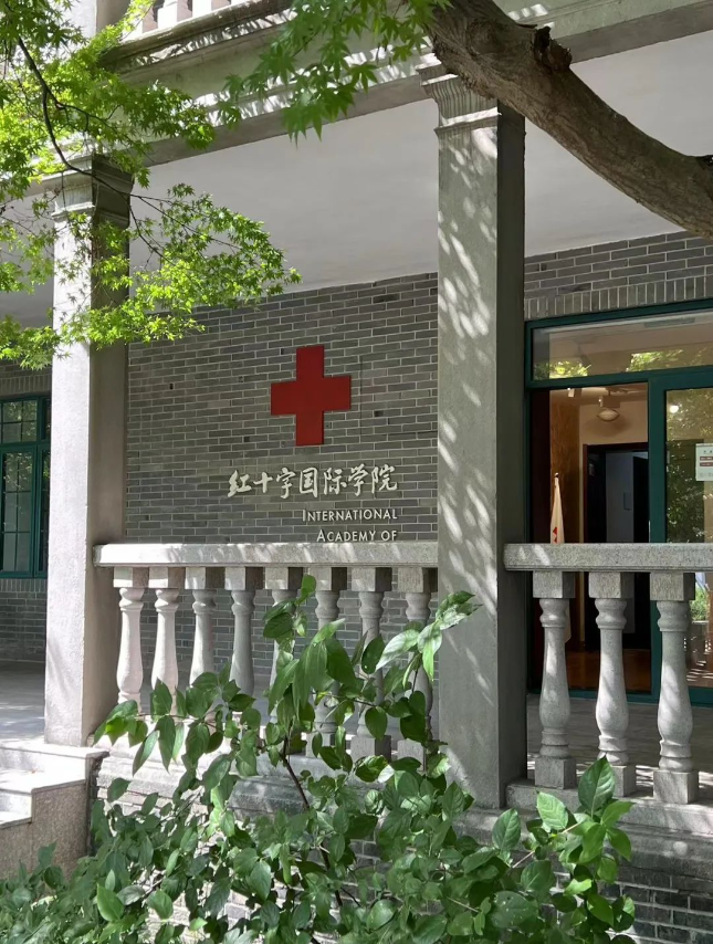5年，他们为国际红十字运动填补空白